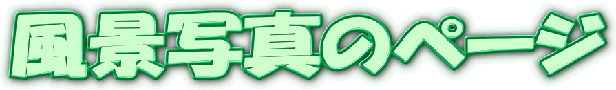 ���i�ʐ^�̃y�[�W
